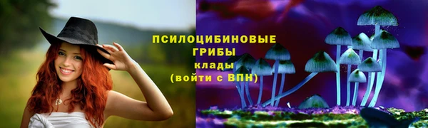 2c-b Аркадак