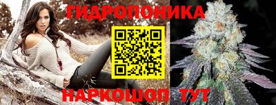 ПСИЛОЦИБИНОВЫЕ ГРИБЫ Сланцы