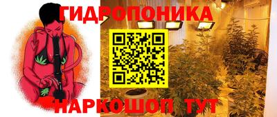 ПСИЛОЦИБИНОВЫЕ ГРИБЫ Сланцы