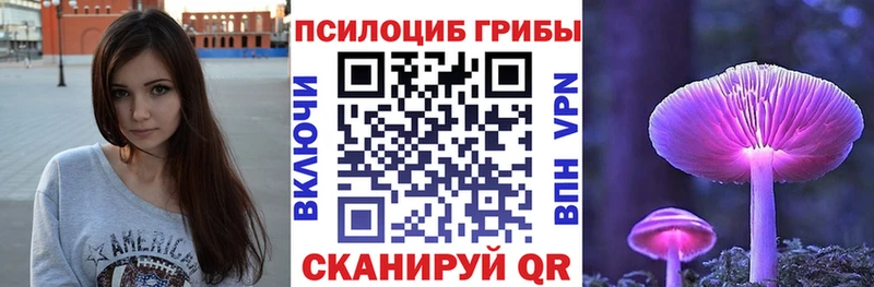 это официальный сайт  Темрюк  Галлюциногенные грибы Psilocybine cubensis 