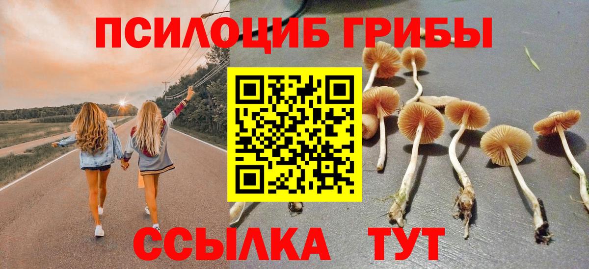 Псилоцибиновые грибы GOLDEN TEACHER Темрюк