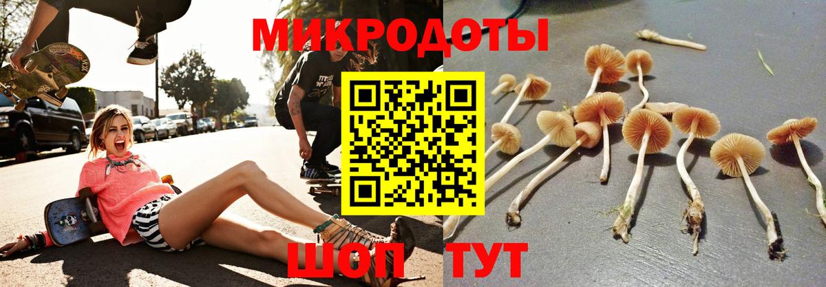 Темрюк  Галлюциногенные грибы прущие грибы  Вход с VPN  Псилоцибиновые грибы Cubensis 